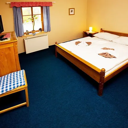 U Snehulaka 3* Boží Dar